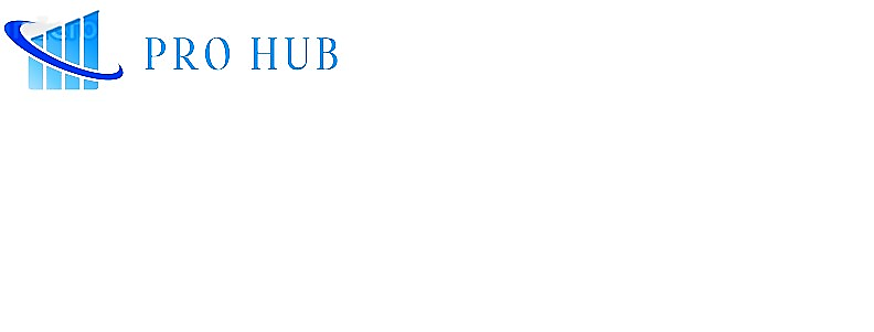 S.R.L. PRO HUB